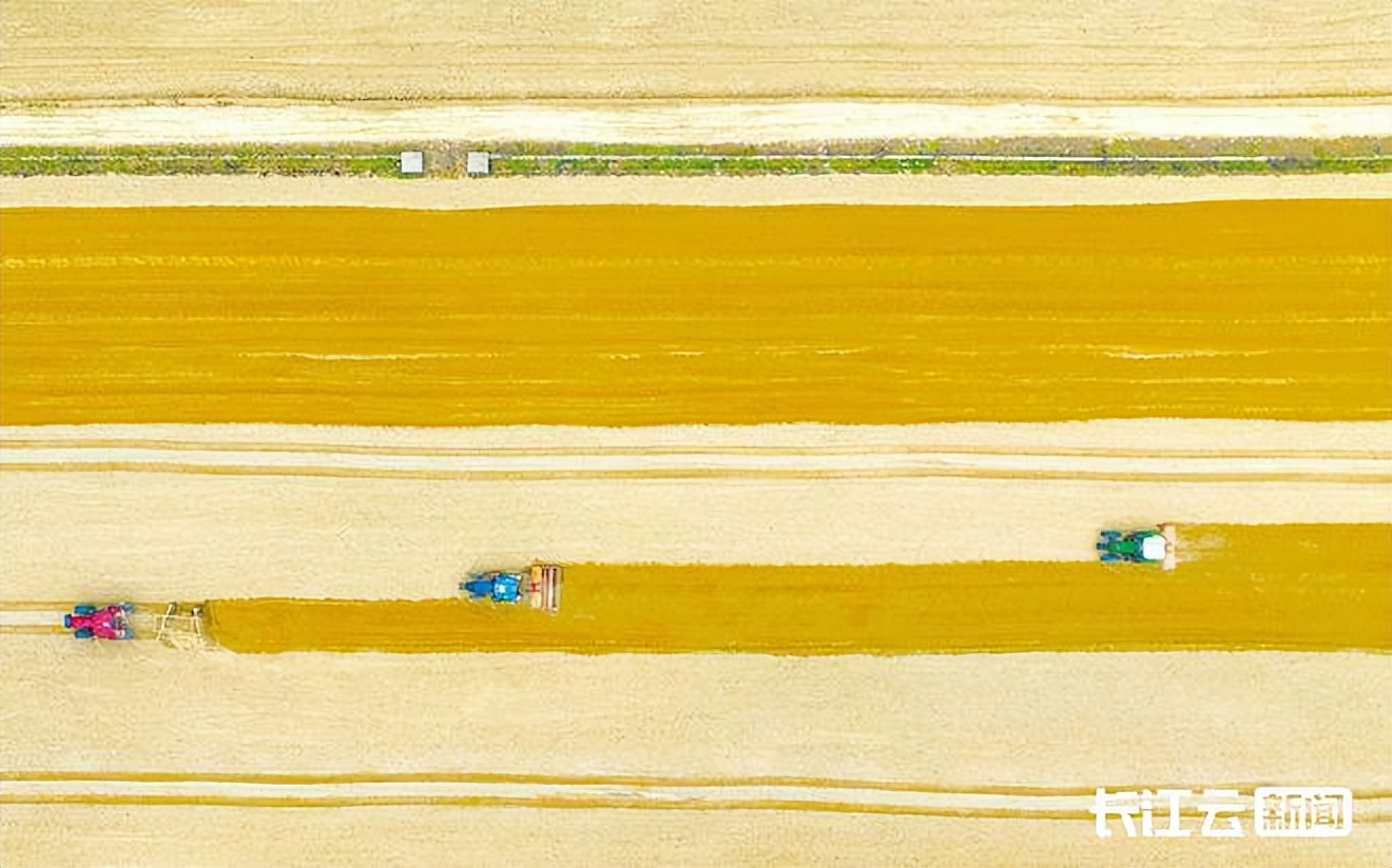 夜空中最亮的星武汉版,夜空中最亮的星是哪个国家的