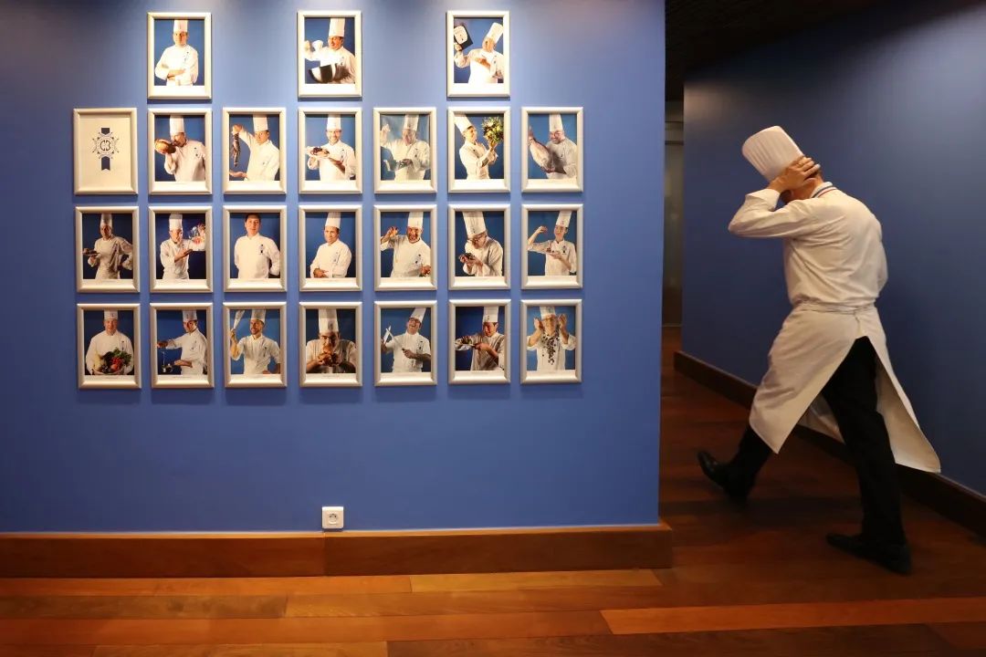 周周说学历,周周说艺术