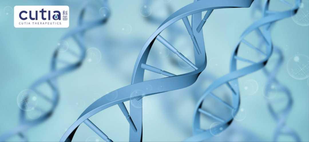 科笛cu-40102,科笛cu-40101