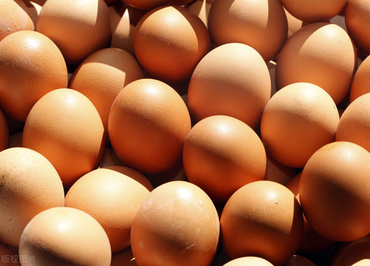 2020年元月1日全国各地的鸡蛋价格,全国鸡蛋价格早报