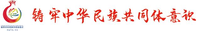 铸牢中华民族共同体意识心得,促进民族团结铸牢民族共同体意识