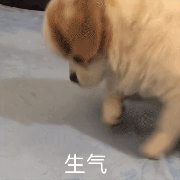 贩剑表情包评论区,贩剑表情包不回消息