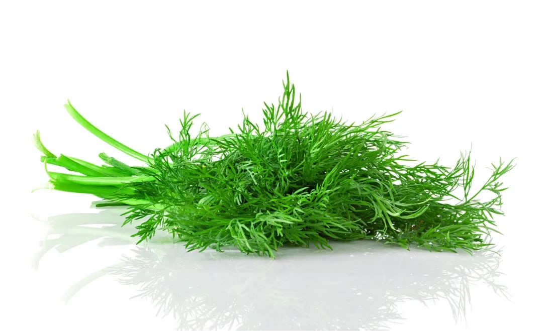 厨房摆盘花草名称大全,饭店摆盘用的的花草叫什么