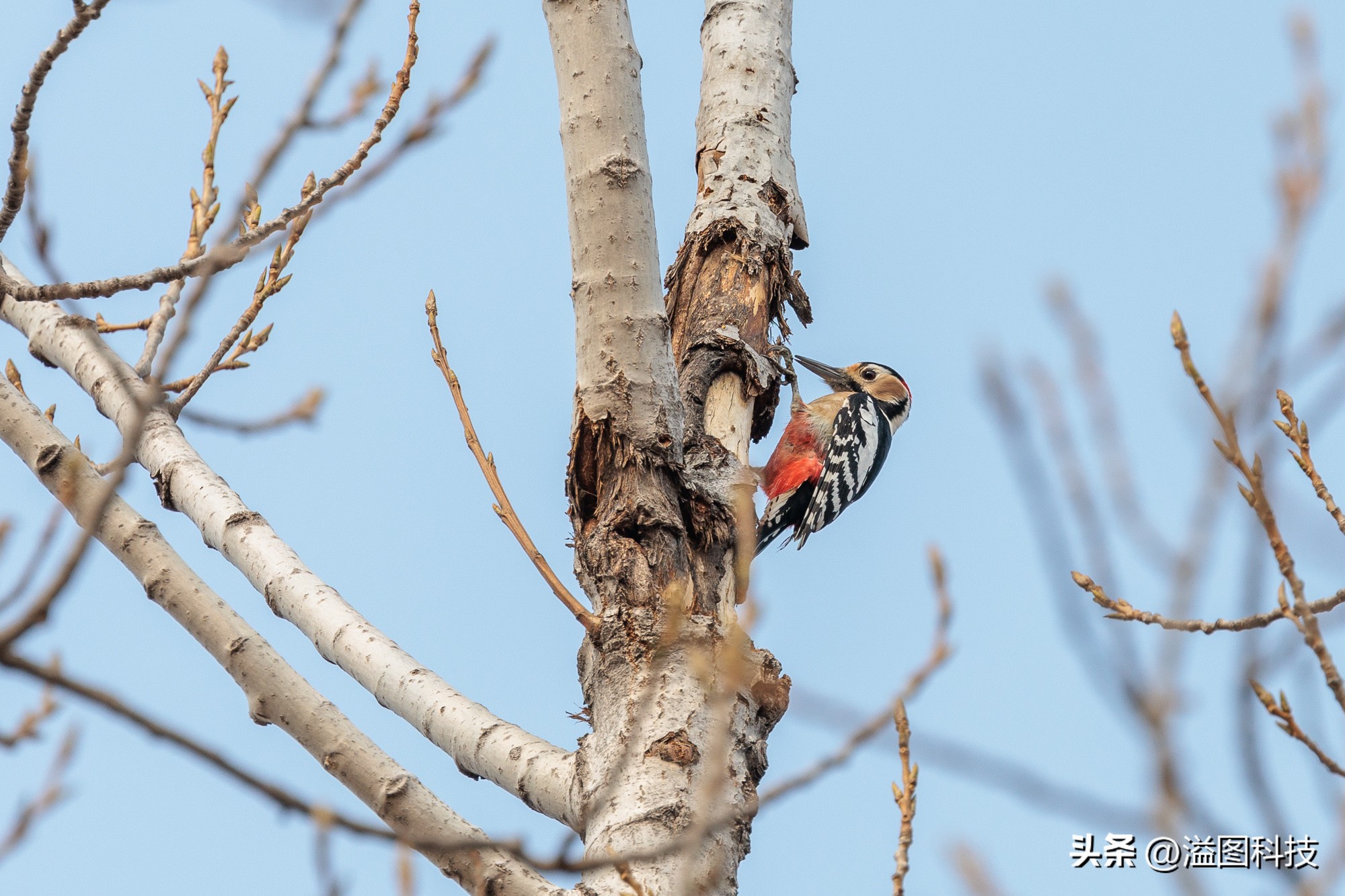 浣宠兘r6鎼厤rf351.8闀滃ご,浣宠兘r6mark2