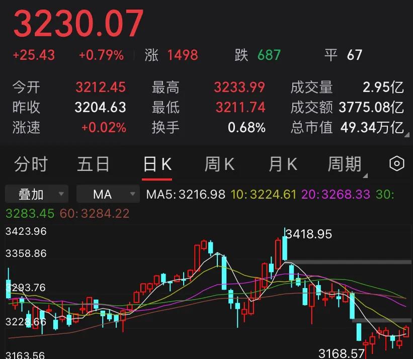 炒股日记小说,炒股日记