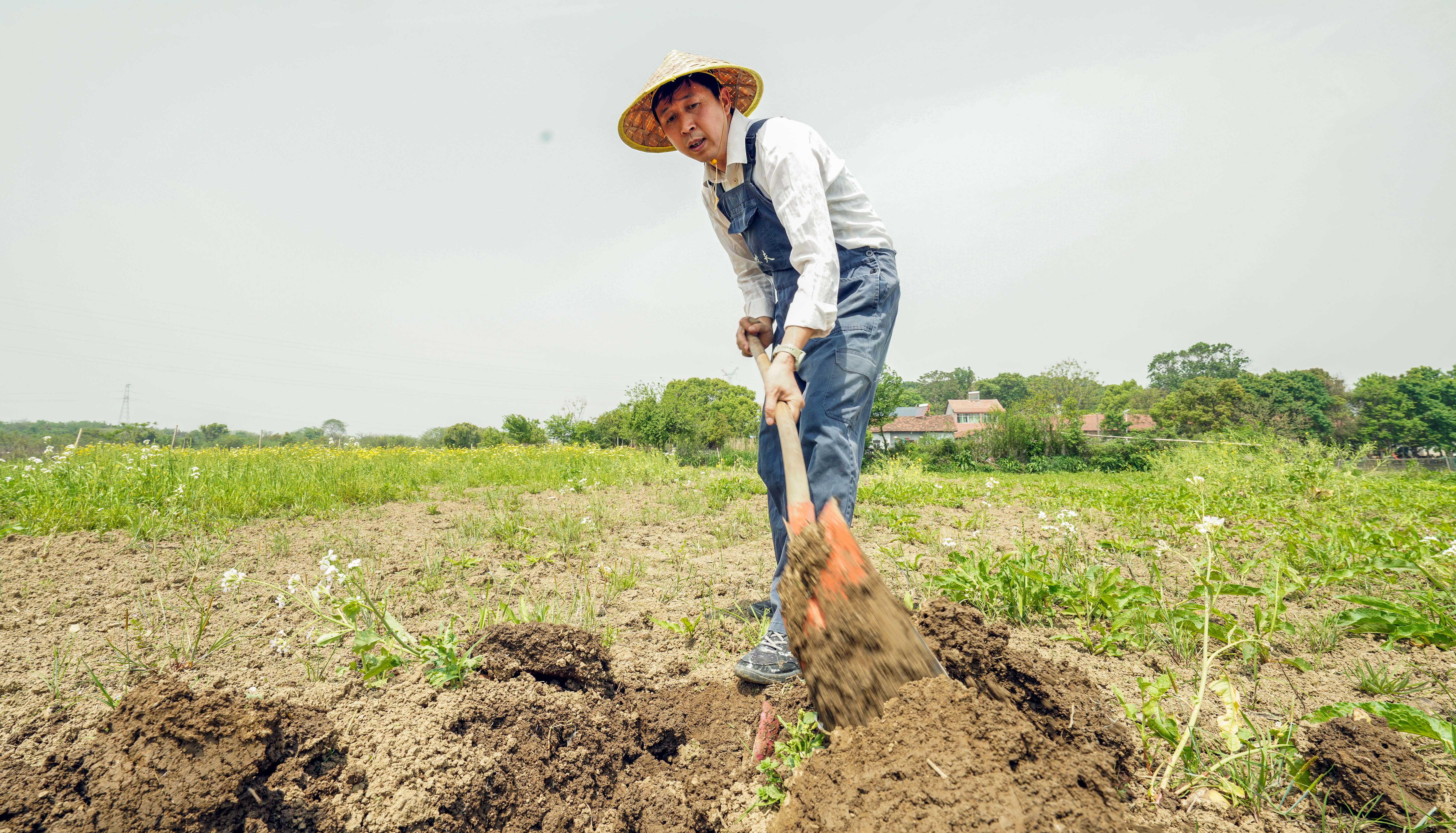 走近土专家|小农夫有大理想，他要种出更多好看好吃不用药的生态菜