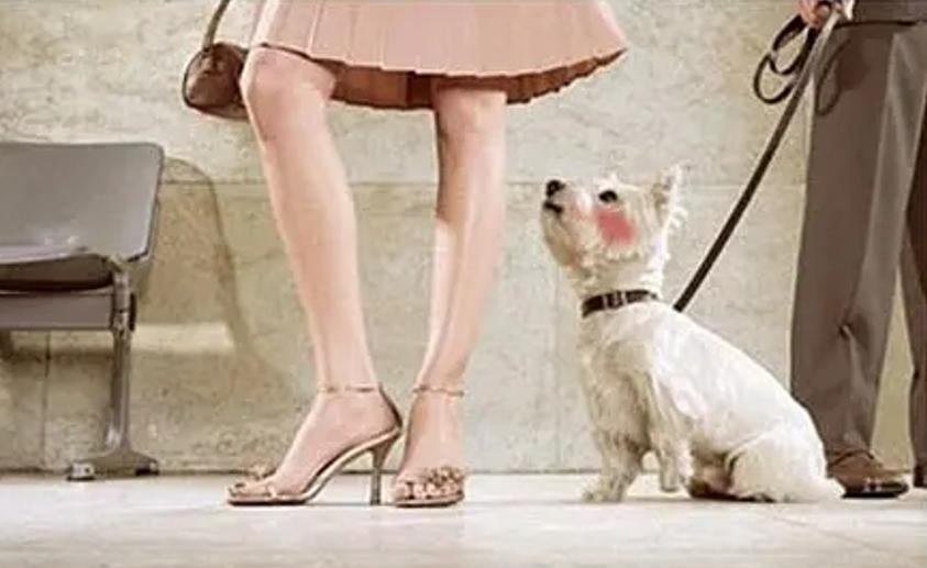 杨幂赵丽颖李沁,赵丽颖杨幂李沁让人无法抉择