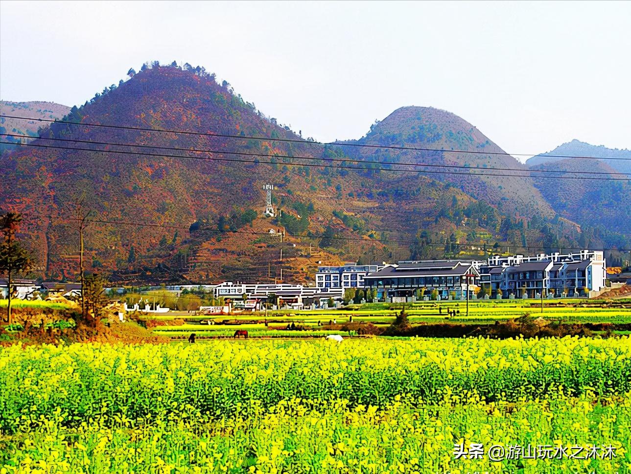 看油菜花的好地旅游攻略,看油菜花哪里最值得去