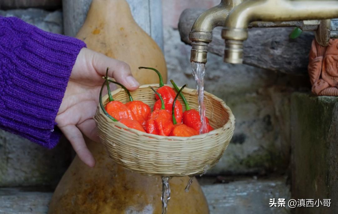 云南烧烤蘸水配方,作者大鱼大肉的免费作品