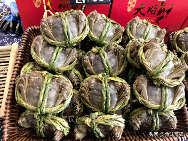 中国哪里大闸蟹最好,全国最好的大闸蟹排行榜第一名