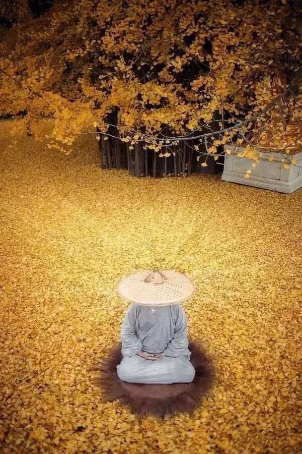 杨震四知的故事是真的还是假的,杨震自律的故事