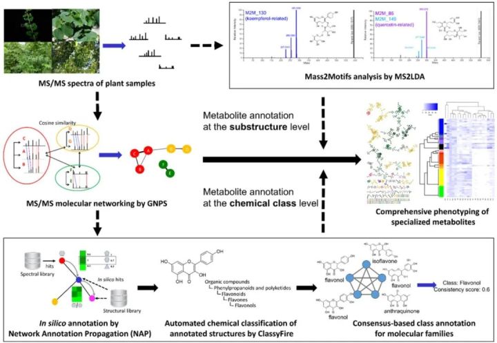 怎么看质谱图解,质谱科普时刻