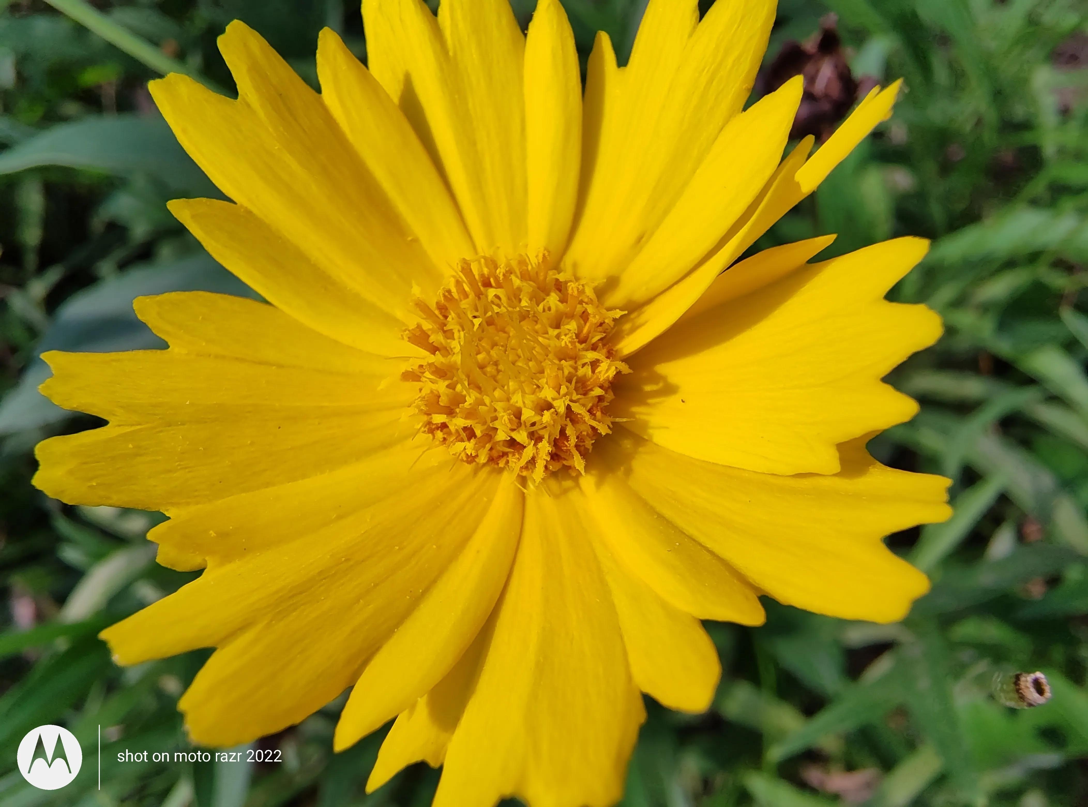 motorazr2022能打游戏吗,motorazr2022款屏幕