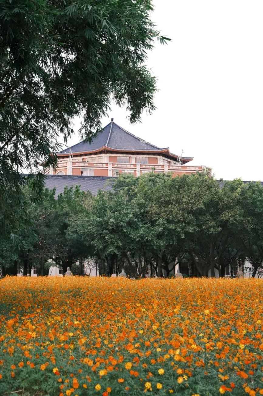 南方医科大学强势学科,最新权威大学排名南方医科大学