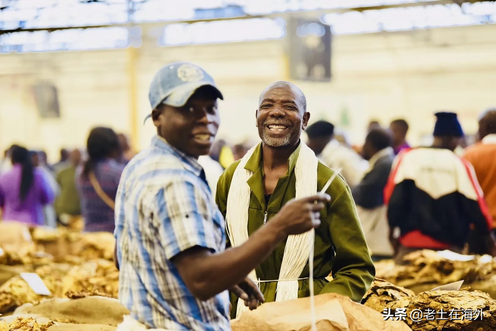 中国在津巴布韦有多少人,津巴布韦中国人的人数