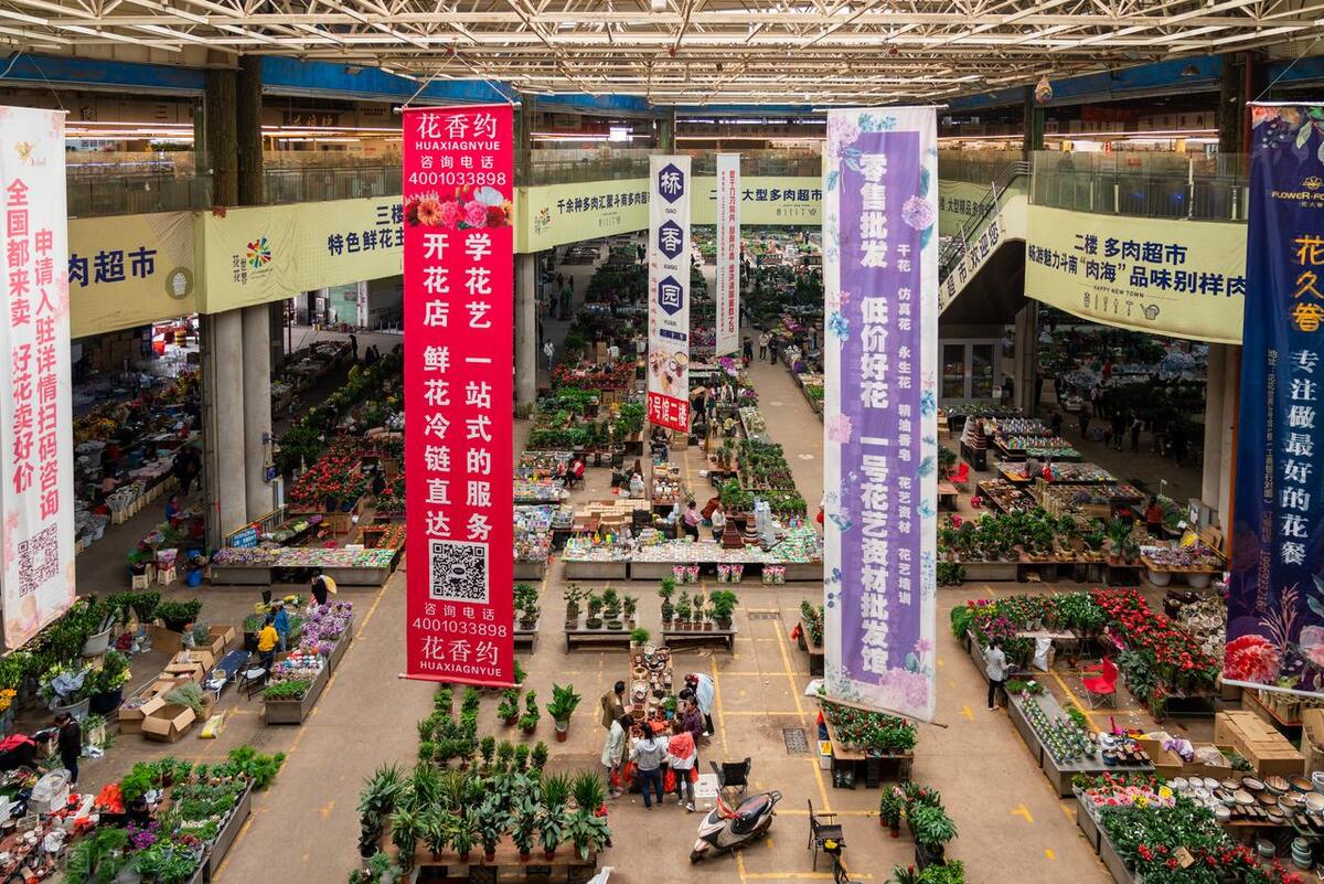 为什么说昆明是旅游的中转站,昆明作为中转站岂能错过美景