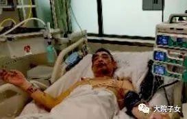 鲁一夫｜（悼念）帅克之死