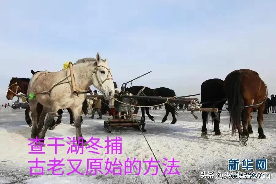 查干湖在什么地方属于哪个省,查干湖冬捕