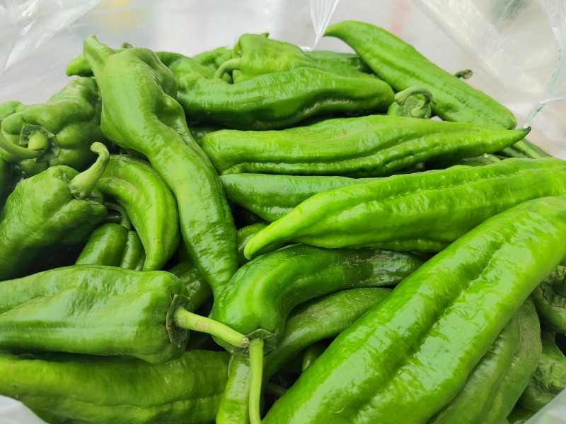 鍜岀敯甯傚満钄彍浠锋牸,鍜岀敯2021骞磋敩鑿滄壒鍙戜环鏍间竴瑙堣〃