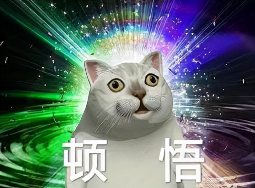 素力高猫粮好还是纽翠斯好,素力高猫粮美版好还是加版好