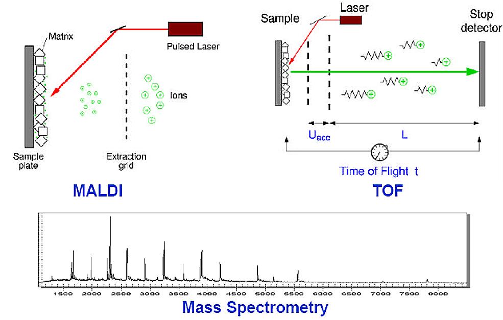 如何使用EOSM290机器，在不同加工条件中，制造出极端形状的薄壁
