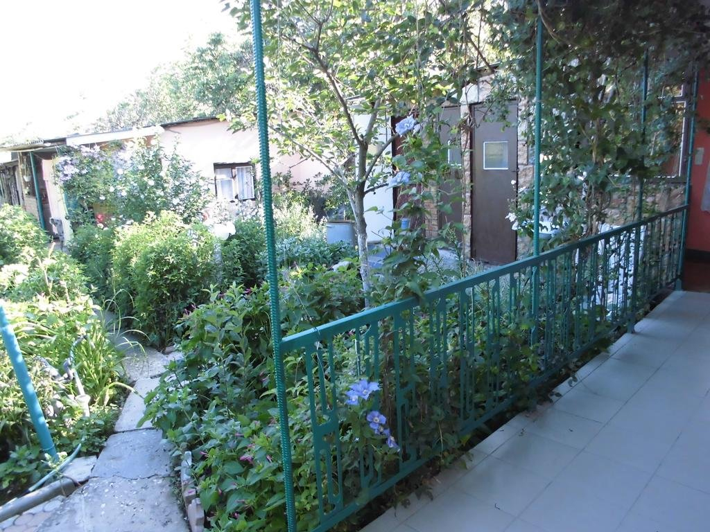 最舒服简单的农家小院,自建房三开间农家小院布局