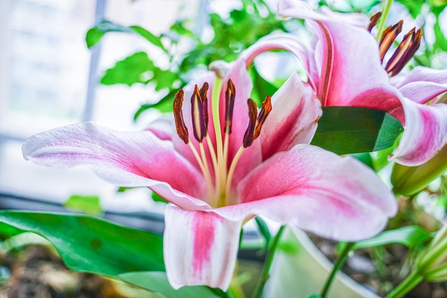 45岁离婚该何去何从,45岁想离婚是什么心态