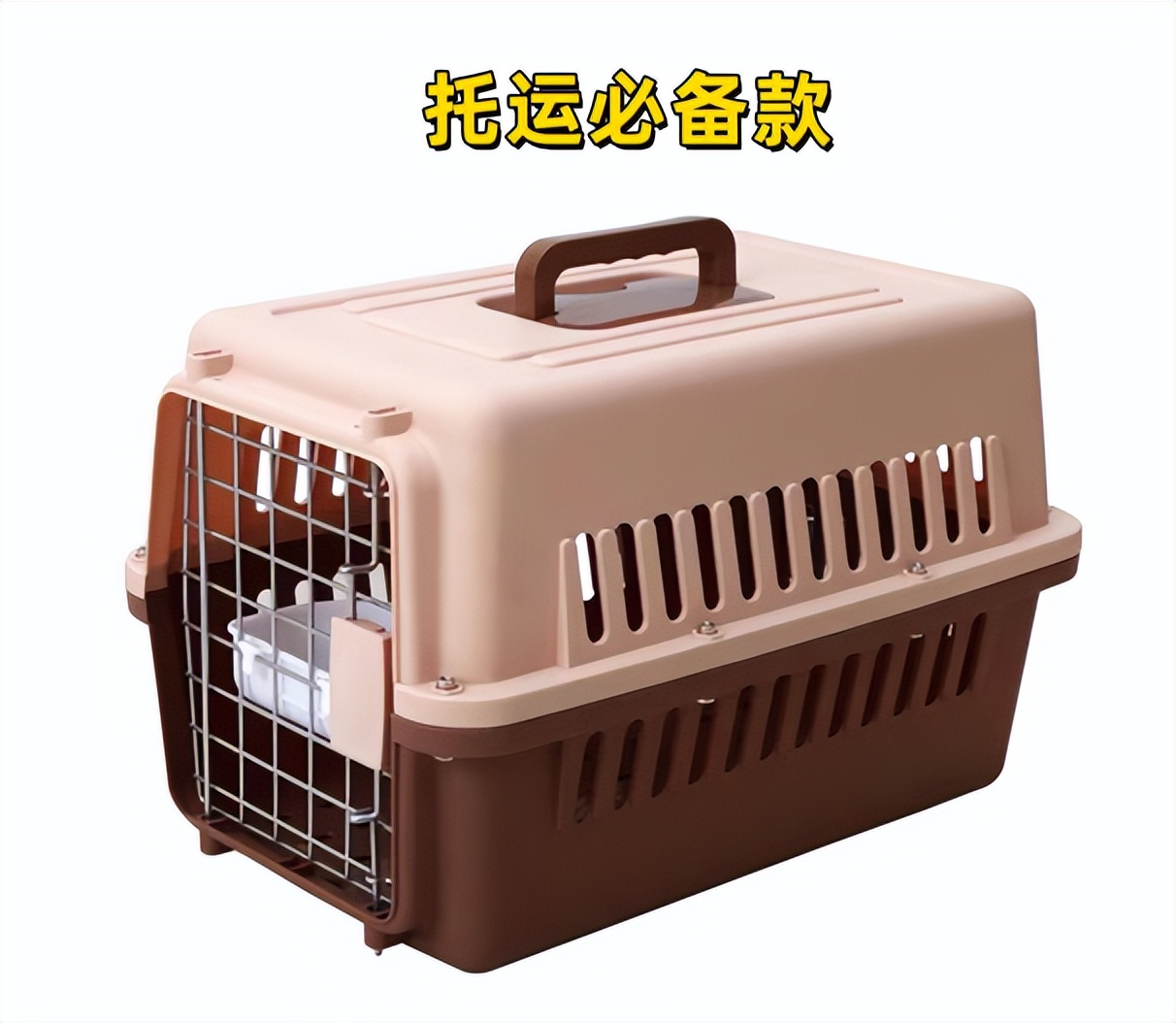 害死猫的网红饰品,盘点那些被人害死的网红猫