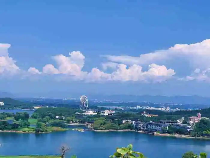 京郊步道旅游攻略,最惊艳的森林步道