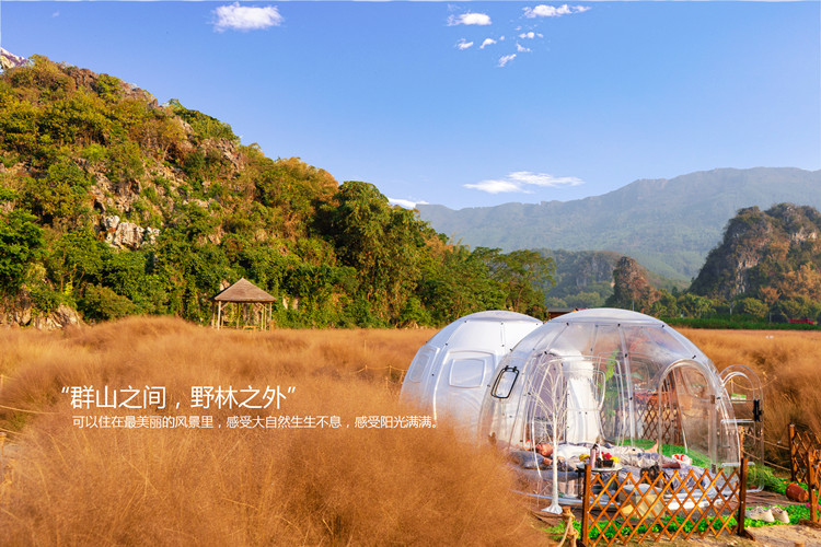 网红全景星空房,网红星空泡泡屋项目