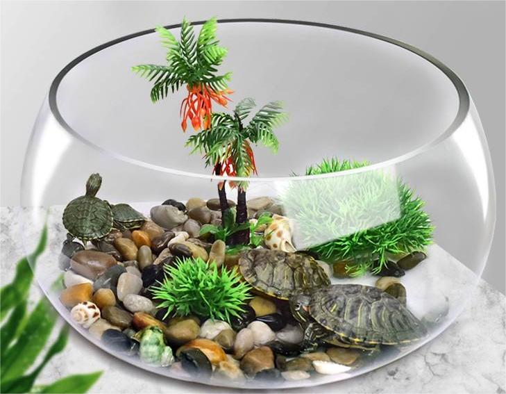 庭院龟缸养龟,黄缘半水龟养龟专用缸