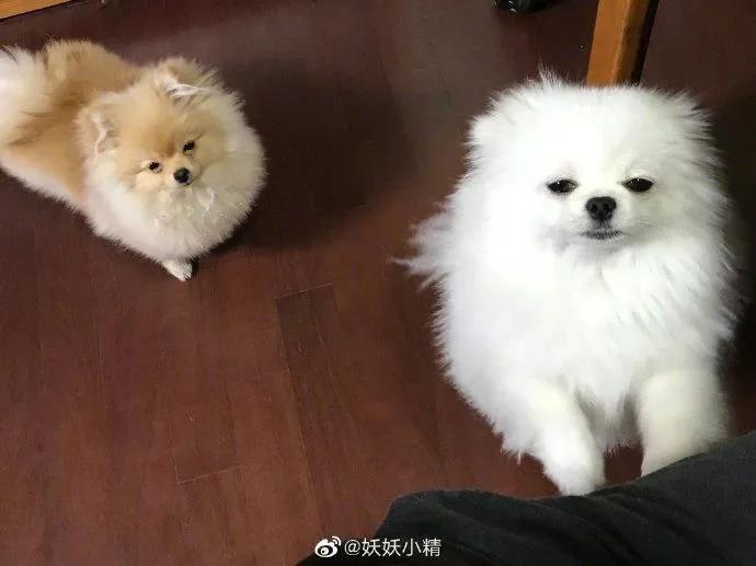 精工所有手表,精工电视手表t001