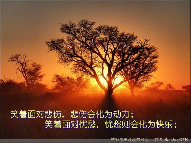 道德经的力量,道德经人活着意义