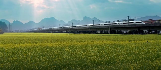 为什么乐清东西那么贵,为什么叫乐清这个名字