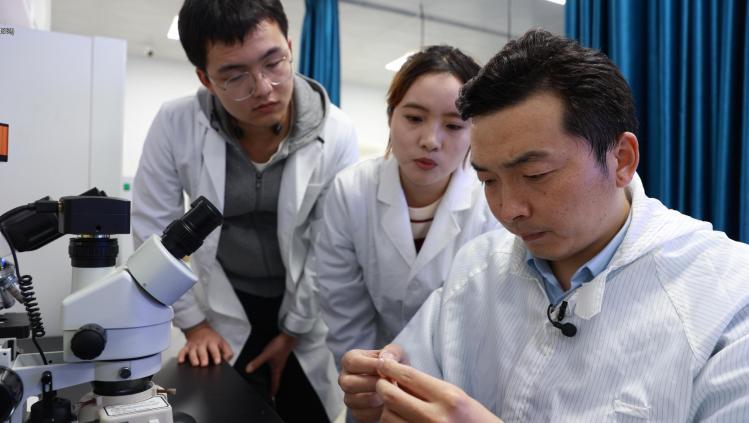 古生物学最新研究成果,古生物学最新研究