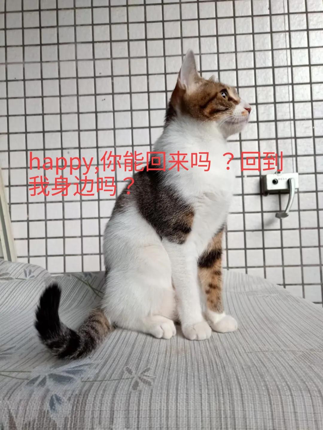 happy鎴戠殑濂冲鎻掓洸,浣爃appy鎴戜篃happy