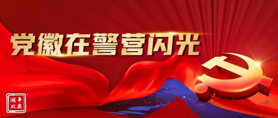 湖北公安警营先锋,湖北公安厅优秀警察名单