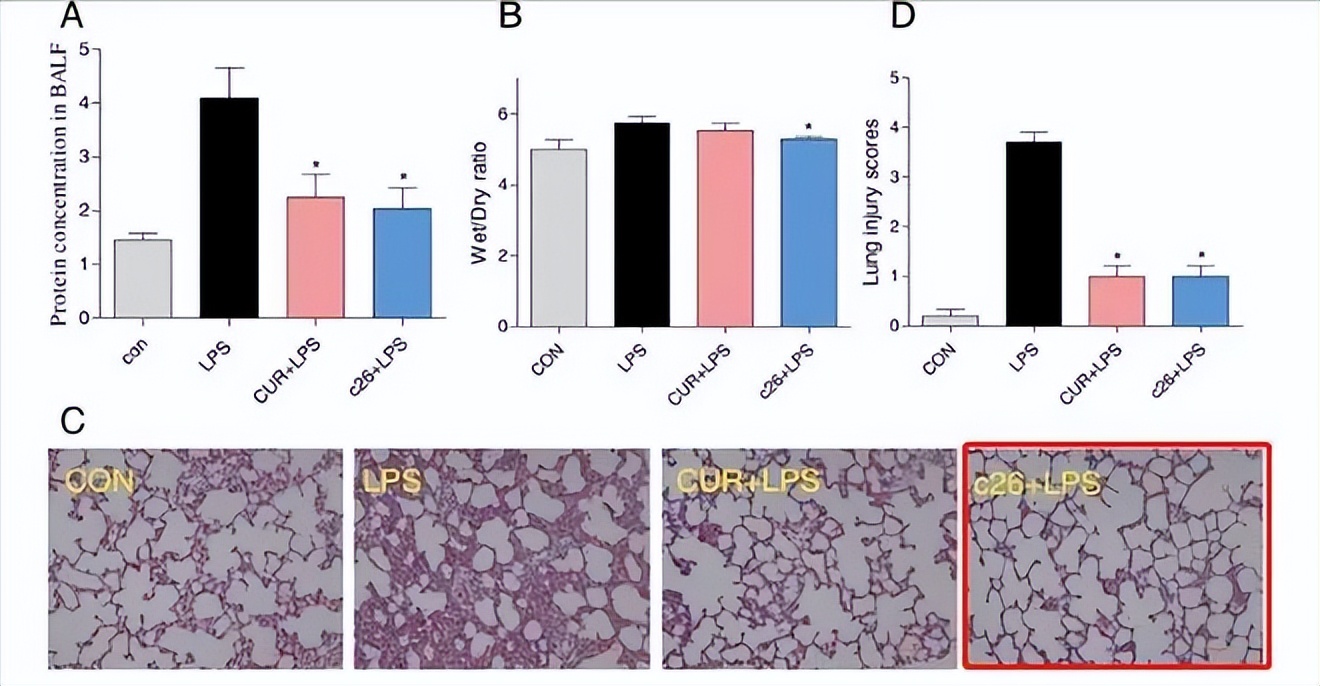 这“免疫之王”防“二阳”！阳后也要多吃它！抗病毒能力提升2000%！远离后遗症