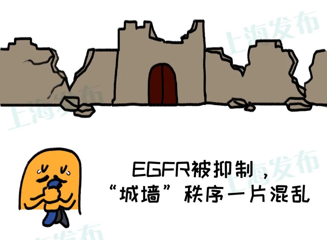 肿瘤性皮肤病,皮肤病专家谈肿瘤