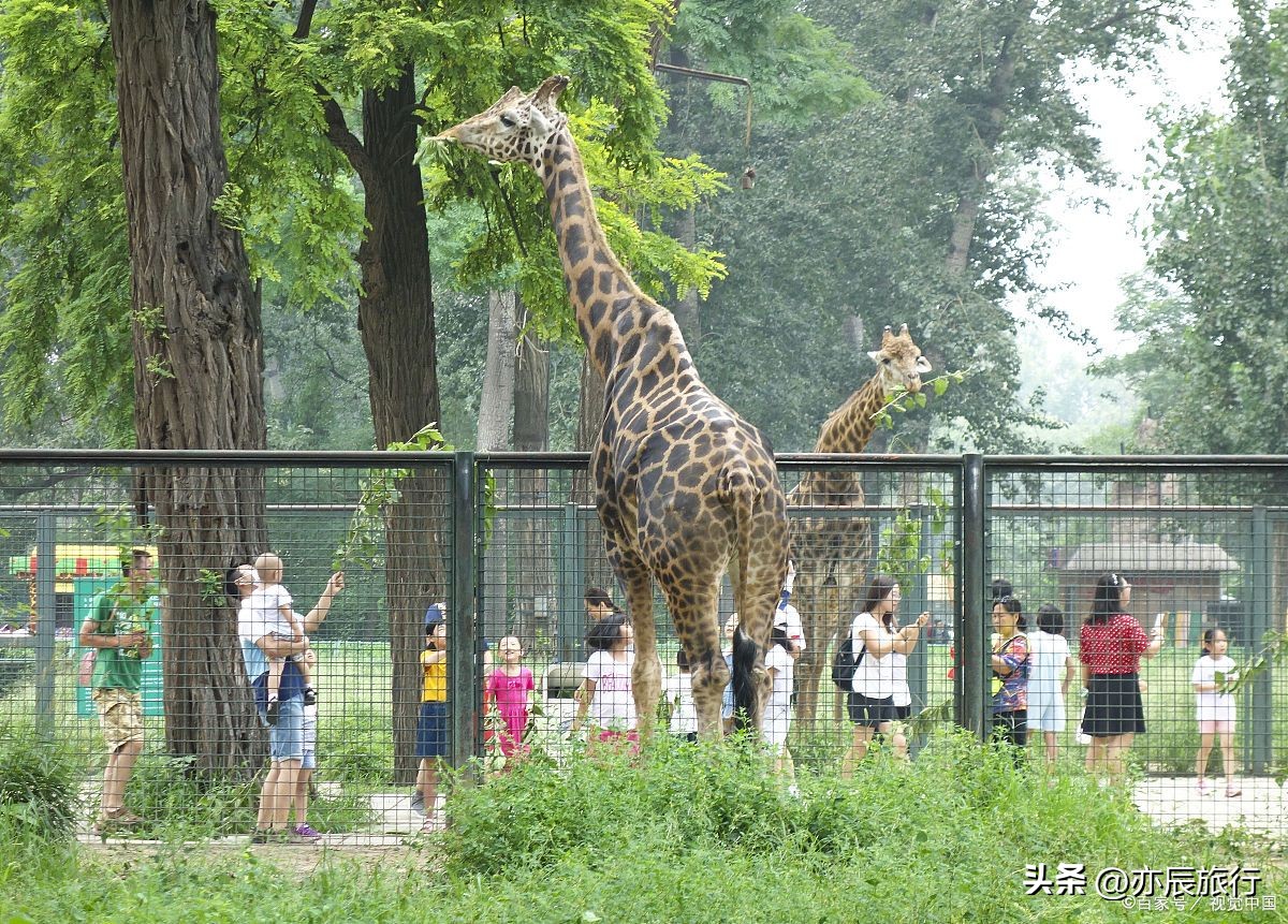 潍坊夏季避暑休闲山庄,潍坊周边避暑自驾游