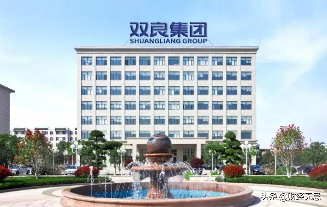 神速入局光伏，签约订单到手软，双良节能豪赌能成事儿吗？