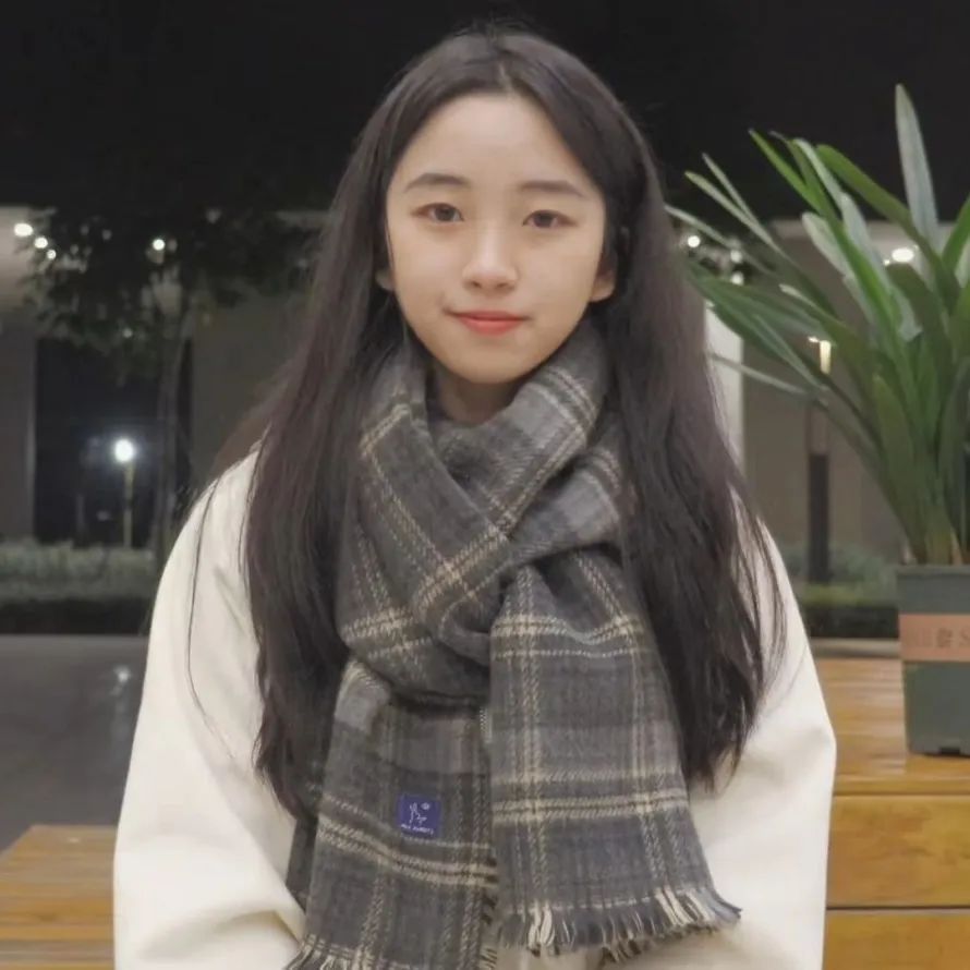 深技大外国语,外国语职业技术大学招生简章