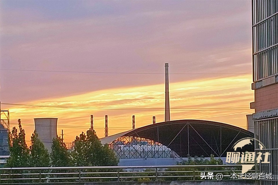 聊城纳税50强企业名单茌平企业,聊城茌平重点企业