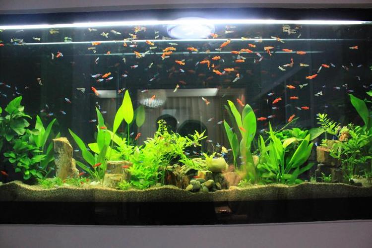 静音过滤器小的,最静音的小型过滤器