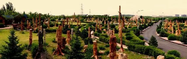 张淑萍:以浪马项目为示范和引领,拓展朝阳高水平对外开放新空间