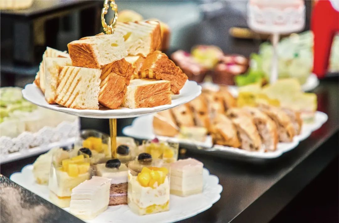 沈阳城市学院2024年招生,沈阳城市学院招生官网