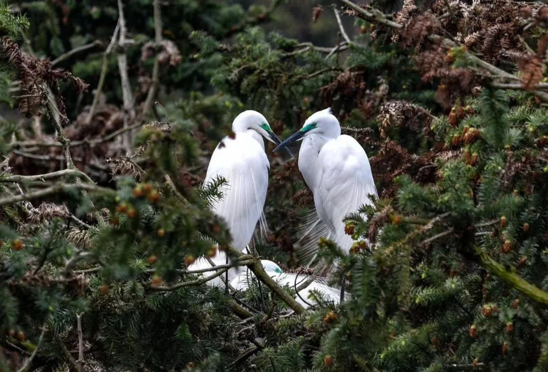 暑期南昌避暑好去处推荐,南昌这边清凉避暑好去处