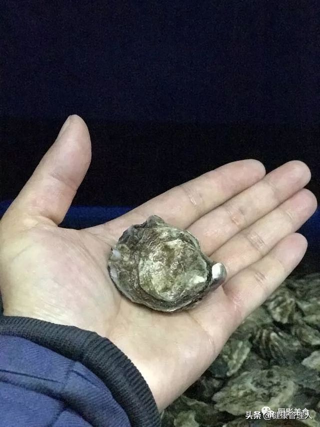 世界顶级海鲜食材,世界顶级的海鲜视频