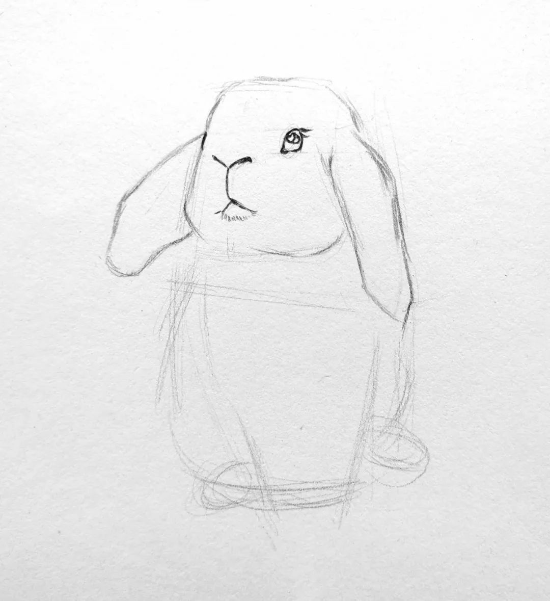 简笔画小动物小兔子三种画法,小兔子的画法大全可爱简笔画