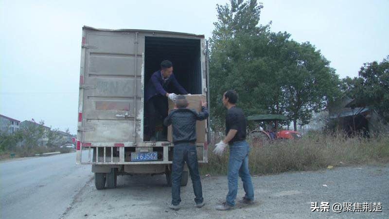 农村物流的优势分析及建议,创新引领物流高质量发展